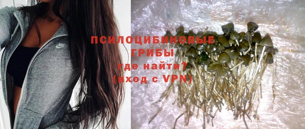 MESCALINE Белокуриха